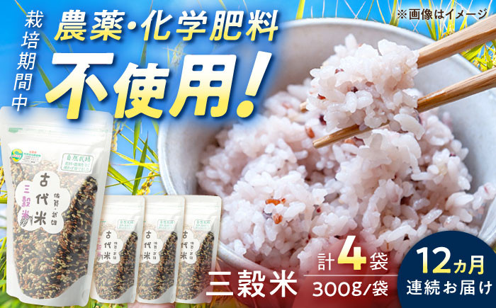 
【12回定期便】自然農法で育てた 古代米 三穀米 1.2kg（300g×4袋）/永尾 忠則 [UAS016] 雑穀 雑穀米 米 お米
