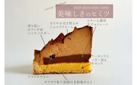 ケーキ タルト 8種 食べ比べ 1ホール分 18cm