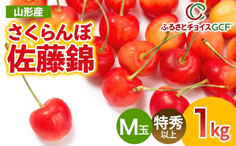 
                  【GCF】さくらんぼ佐藤錦 Ｍ玉 特秀以上 １kg入り 1箱【令和9年産先行予約】 FS26-024
                