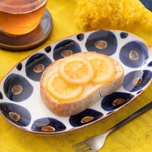 レモンはちみつ漬け 400g | レモン れもん 檸檬 はちみつ ハチミツ 愛媛県 松山市産 国産蜂蜜使用 ギフト プレゼント ソーダ ヨーグルト アイス 家飲み 【HMN010】