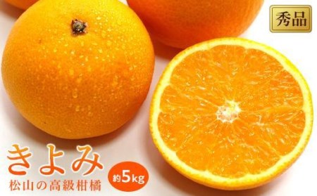 【2026年3月中旬から発送】 きよみ＜秀品＞約5kg【KK0251_x】