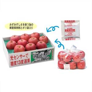 贈り物用【糖度13度選果 シナノスイート＆名月＆サンふじ りんご3種 約4.3kg】鮮度保持剤・袋付【配送不可地域：離島・沖縄県】【1507635】