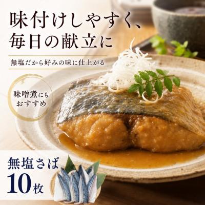 ふるさと納税 銚子市 無塩さば 10枚 |  | 01