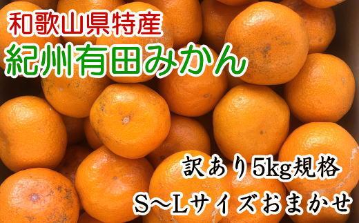 [訳あり]和歌山有田みかん約5kg（S～Lサイズいずれかお届け）★2025年11月中旬頃より順次発送［TM81］ 303446_XH92117