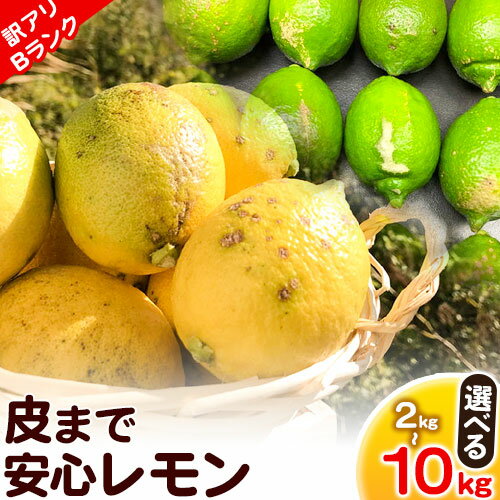 【ふるさと納税】【訳ありBランク】皮まで安心レモン選べる 内容量 約2kg 約3kg 約5kg 約10kg※重量には箱の重量も含まれております※ 黒潮フルーツファーム【先行予約】《2025年10月中旬-2026年4月中旬頃出荷》和歌山県 紀の川市 レモン