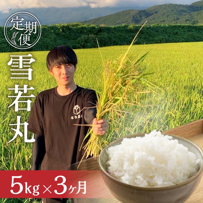 【ふるさと納税】≪3ヶ月定期便≫ 雪若丸 5kg×3ヶ月連続 計15kg 精米 令和7年産米 山形県酒田産 ご希望期間の毎月中旬にお届け 東北 山形県 酒田市 庄内地方 庄内平野 米 お米 白米 ブランド米 ご飯 ごはん 農家直送 産地直送 本多農園