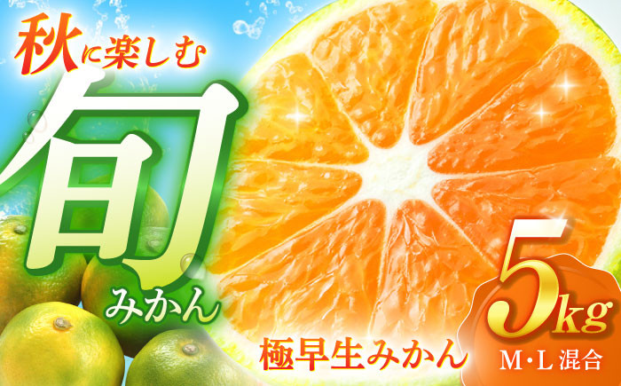 
【先行予約】爽やかな酸味！極早生 みかん 5kg 【瀧口ファーム】 [OCW001] / 薄皮みかん 上野ミカン 蜜柑 柑橘 みかん 極早生ミカン 秋みかん 早生みかん 極早生蜜柑 川棚町産ミカン 長崎県産みかん かんきつ 柑橘

