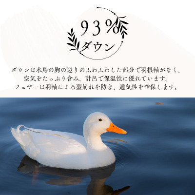 羽毛布団シングル二枚合わせ超長綿60番手生地使用オールシーズンダウン93%合掛1.0kg肌0.3kg