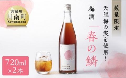 【数量限定】天龍梅の実を使用！オリジナル梅酒「春の鱗」（720ml×2本）【 お酒 アルコール 酒 梅酒 】[F5603]