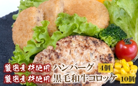 厳選素材使用黒毛和牛コロッケ＋厳選素材使用ハンバーグ セット【hane0005】
