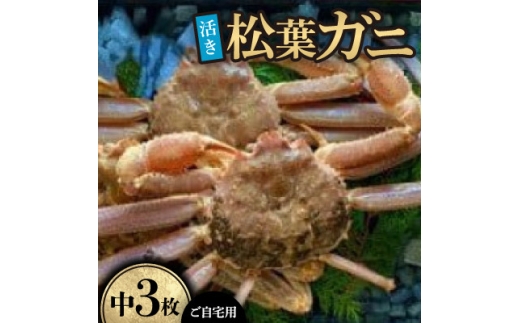 【先行予約】【活き】ご自宅用　松葉ガニ　中　3枚(1枚500～640g前後)※11月中旬から順次発送【1763344】