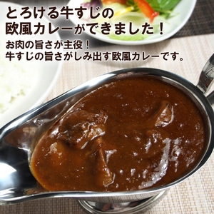 とろ旨欧風牛すじカレー（200g×20パック）【配送不可地域：北海道・沖縄】【069C-001】
