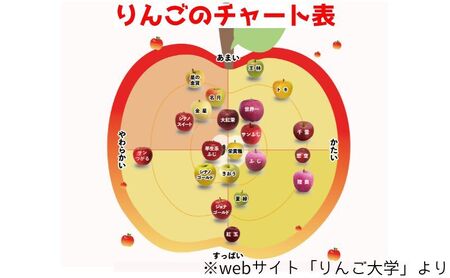 りんご旬のりんご品種おまかせ家庭用 青森県産 りんご【約5kg 2-4品種】【11月発送】
