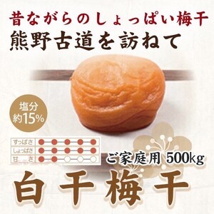 【ご家庭用】紀州南高梅 白干梅干し 約500g 【US34】【準備でき次第、順次発送】【AS90040-uts053A】
