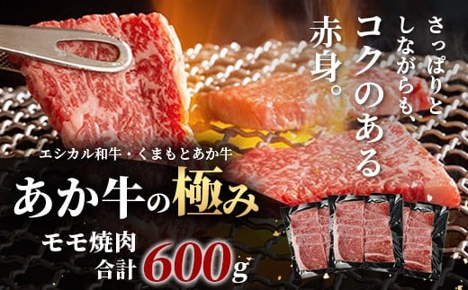 くまもとあか牛 モモ焼肉用 600g 
