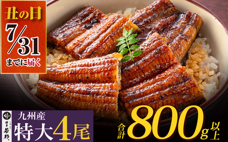 U61-74R02 丑の日7/31までにお届け 国産 うなぎ 蒲焼特大サイズ4尾（計800g以上）うなぎ うなぎ うなぎ うなぎ うなぎ 【wksg01】 【fukuchi00】