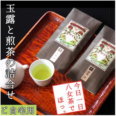 ふるさと納税 赤村 【八女茶　江戸宝永年間創業】14代目オススメの玉露と煎茶2本セット(ご自宅用)(赤村)