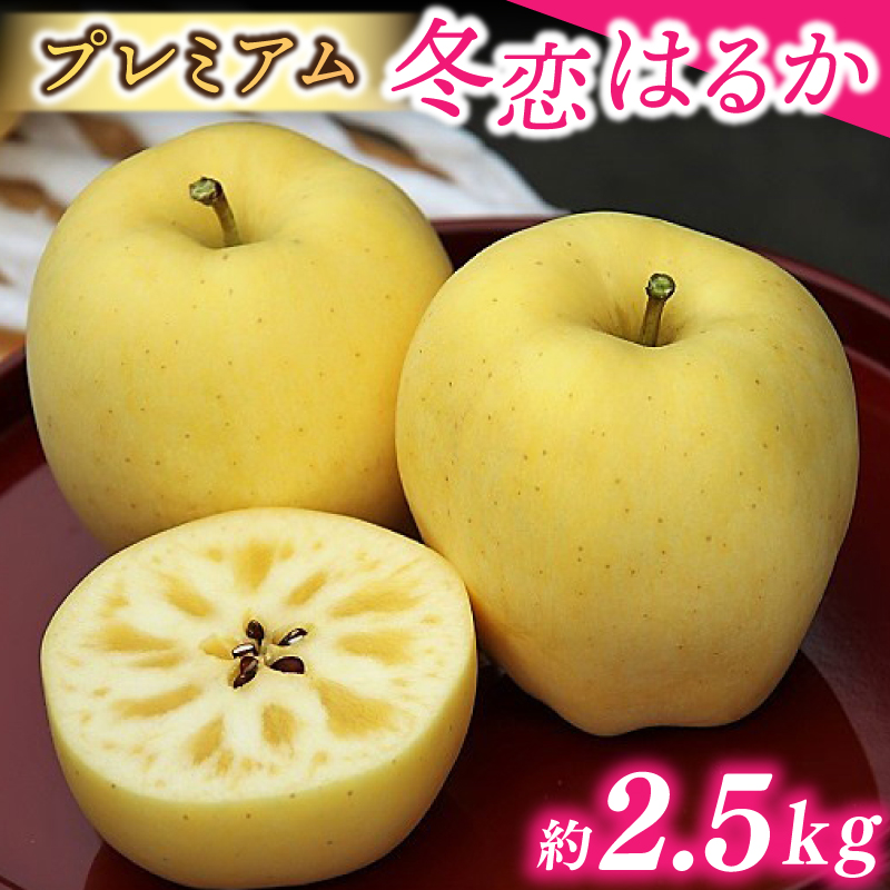 りんご はるか 「プレミアム 冬恋はるか」 約2.5kg 糖度16度以上【先行予約 12月発送予定】 数量限定 岩手県産 高級 りんご リンゴ 林檎 冬恋 はるか フルーツ くだもの 果物 【冬恋研究会】 (AI021)