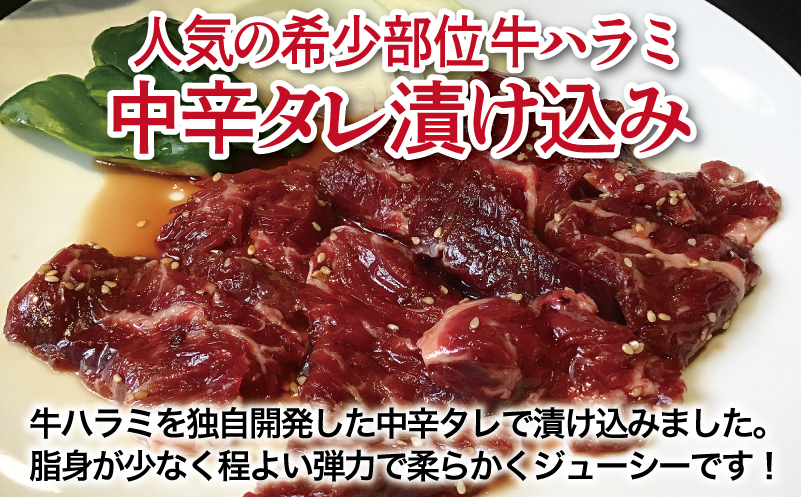 【満足牛ハラミ】中辛タレ漬け 合計3kg 【味付け ハラミ 小分け 焼くだけ 簡単調理 BBQ 牛肉 250g×12P】 G3412