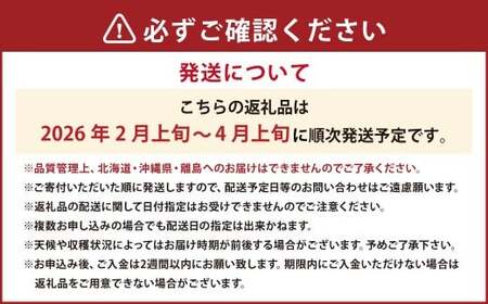 あまおうDX 約280g×2パック あまおう いちご イチゴ 苺 果物 くだもの フルーツ 【2026年2月上旬～4月上旬発送予定】