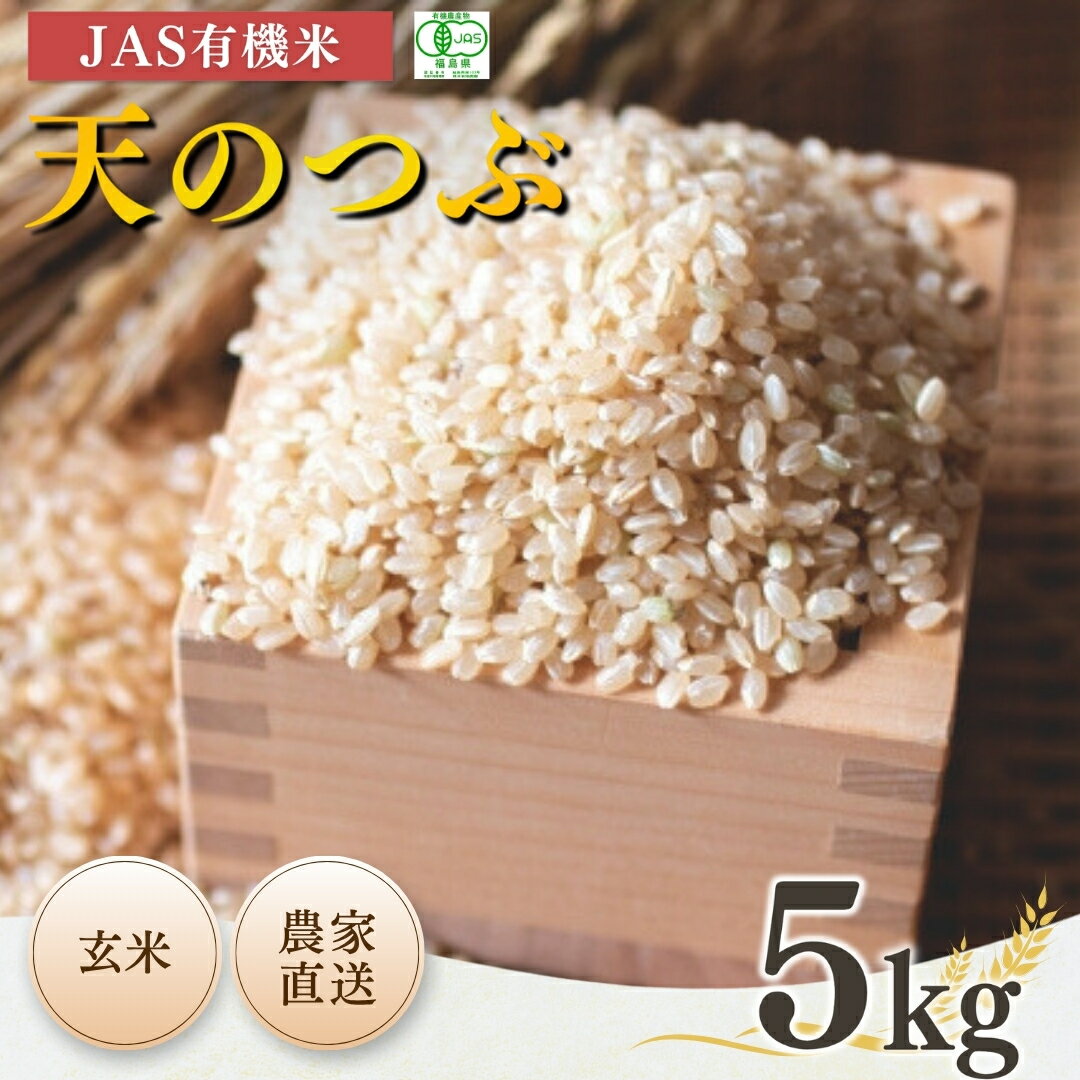 【ふるさと納税】【令和6年産】 南相馬 天のつぶ 5kg 5キロ JAS 有機米 根本有機農園 天のつぶ 玄米 精米 コメ ブランド米 福島 福島県産 低温貯蔵庫 送料無料 たんぱく質 旨い ふるさと納税 オンライン申請【3004601】