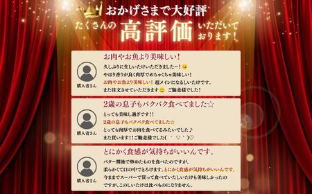 大粒 肉厚国産 生しいたけ 11粒 | しいたけ 株式会社レインボー