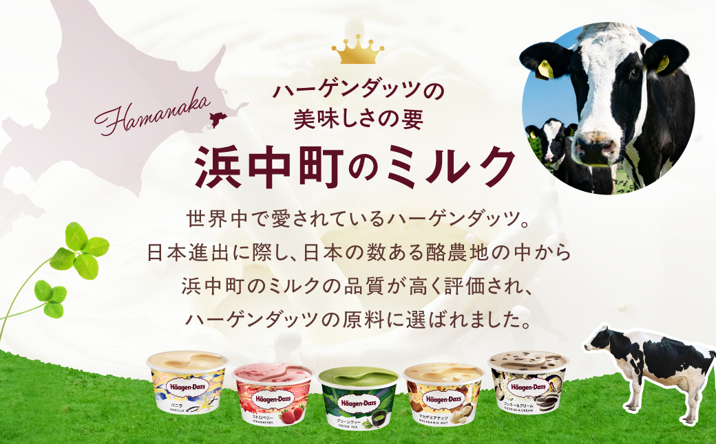 ハーゲンダッツ『ミニカップ12個セット(ストロベリー味)』アイスクリーム アイス スイーツ デザート_H0016-117
