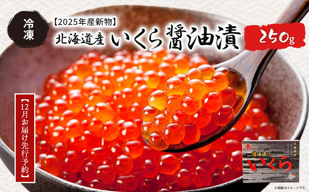 【12月お届け先行予約】【2025年産新物】北海道産 いくら醤油漬（冷凍）250g ABAB006