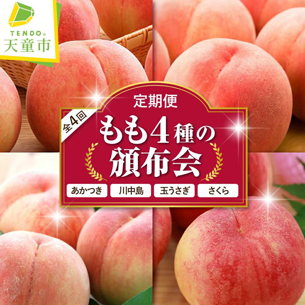 【ふるさと納税】もも 4種 の 頒布会 ( 定期便 ) 全4回 秀品 あかつき 川中島 玉うさぎ さくら 令和8年産 先行予約 2026年 桃 白桃 人気 おすすめ フルーツ 果物 くだもの 山形 お取り寄せ 食べ比べ 産地直送 送料無料 【 山形県 天童市 】