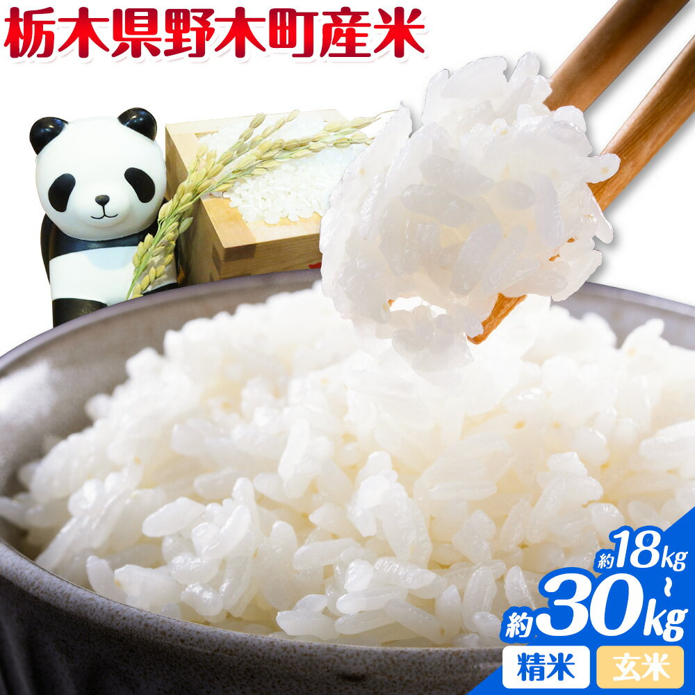 【ふるさと納税】米 令和7年産 お米 栃木県野木町産米 18kg 20kg 30kg 精米 玄米 鈴木農園《30日以内に出荷予定(土日祝除く)》 栃木県 野木町産 約20kg 栃木県 野木町産 白米 精米方法