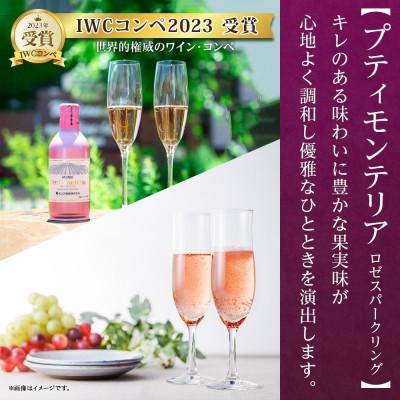 ふるさと納税 笛吹市 【毎月定期便】プティモンテリアスパークリング2種 290ml 6本 モンデ酒造 山梨県笛吹市全12回 |  | 02