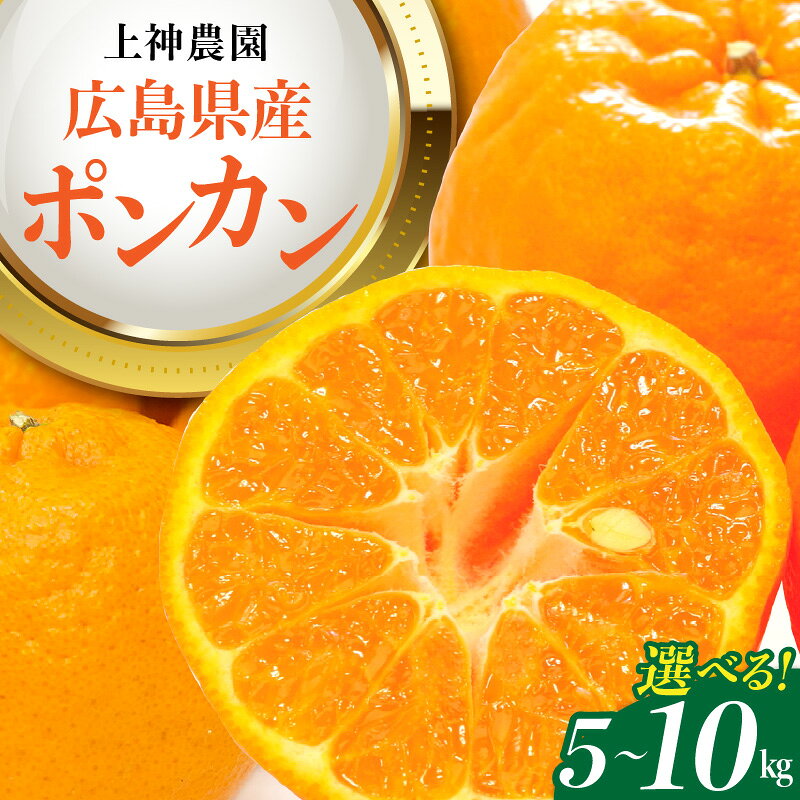 【ふるさと納税】先行予約 上神農園 ポンカン 選べる 約 5kg / 約10kg 【 2027年 1月中旬～発送】 みかん 蜜柑 フルーツ 果物 柑橘 ビタミンC 甘い 完熟 ジューシー ジュース 食物繊維 クエン酸 瀬戸内海 お取り寄せ 送料無料 産地直送 国産 広島県 呉市