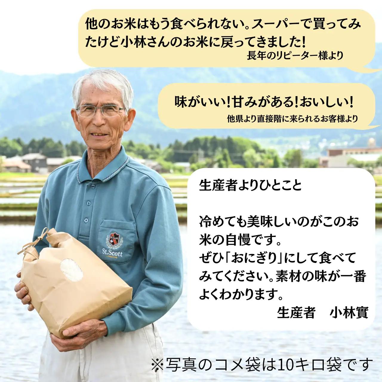 米 令和7年産 コシヒカリ 精米  10㎏【B-102001】