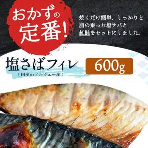 【毎月定期便】【ご家庭用訳あり】人気の塩さばフィレ＆紅鮭切身セット計1kg全3回【配送不可地域：離島】【4050163】