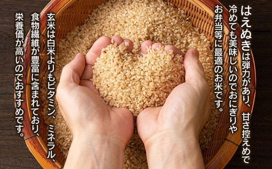 数量限定 【令和7年産】 山形県庄内産 小池半左衛門のお米 はえぬき 玄米 10kg (5kg×2袋)