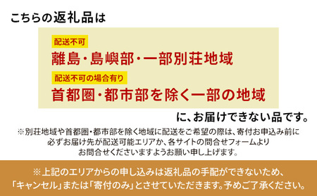 【※2026年2月20日発売※】【2026年モデル】電動アシスト自転車 PAS CITY-C 20インチ マットライトグレー ヤマハ YAMAHA 先行予約 電動 アシスト 本体 コンパクト 軽量 バ