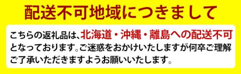 A6-003 かるかん饅頭「英邁 島津公」3種(計9個)【森三】