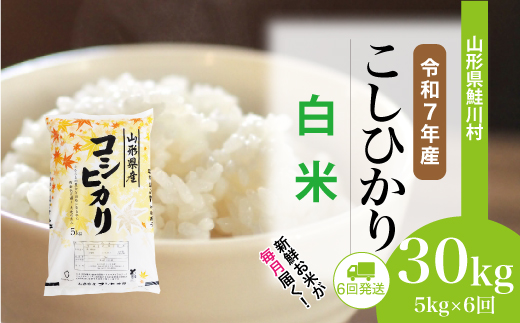 ＜令和7年産米＞ 鮭川村 こしひかり 【白米】 定期便 30kg （5kg×1ヶ月間隔で6回お届け）＜配送時期選べます＞