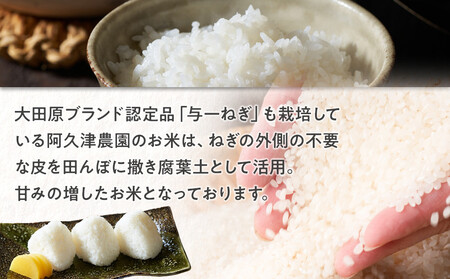 【令和7年産 新米 先行予約受付】栃木県 大田原市産 コシヒカリ 白米 5kg ｜コメ お米 銘柄米 農家直送 産地直送 産直 数量限定