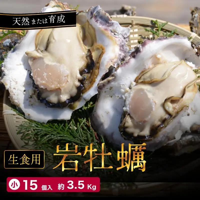 訳あり 岩がき 小サイズ 15個入 3.5kg前後 生食用 ： 牡蠣 殻付き