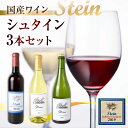 【ふるさと納税】Stein シュタイン ワイン 3本セット 石巻産葡萄100％使用 赤ワイン 白ワイン 国産 赤 白 スパークリング