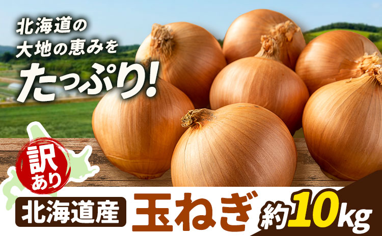 訳あり 野菜 玉ねぎ 10kg B&T TRADING株式会社《30日以内に出荷予定(土日祝除く)》北海道 日高町 玉ねぎ  北海道産 国産 野菜 大容量 家庭用 常備野菜 サラダ カレー スープ 煮