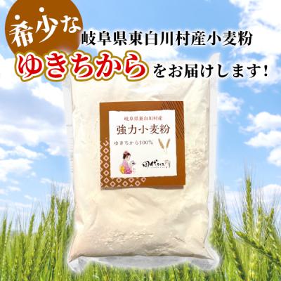 ふるさと納税 東白川村 岐阜県 東白川村産 強力粉 小麦粉 ゆきちから 1kg |  | 03