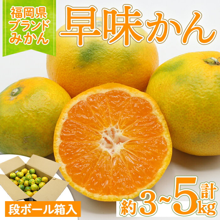 【ふるさと納税】＜先行予約受付中！2025年9月中旬～10月下旬に順次発送予定＞福岡ブランドみかん 早味かん (約計3kg～5kg) みかん ミカン フルーツ 果物 くだもの 柑橘 福岡限定 オリジナルブランド ＜離島配送不可＞【ksg1759・ksg1760】【農産物直売所ほたるの里】