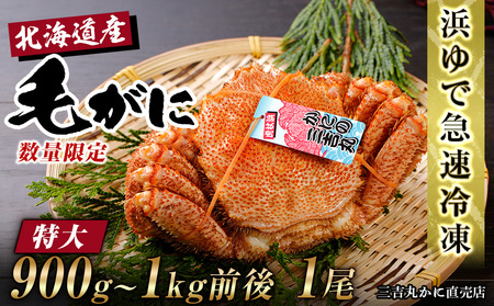 【特大】 北海道産 冷凍ボイル 毛ガニ (900g-1kg前後) 1尾 AS119