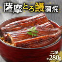 【ふるさと納税】 薩摩 とろ鰻 蒲焼 二尾 280g うなぎ 鰻 うな丼 丼 うな重 ひつまぶし とろ 土用の丑の日 丑の日 惣菜 おかず 魚 冷凍 うなぎのたれ 秘伝のたれ タレ せんゆう鰻屋 株式会社志 鹿児島 鹿児島市 おすすめ ランキング プレゼント ギフト