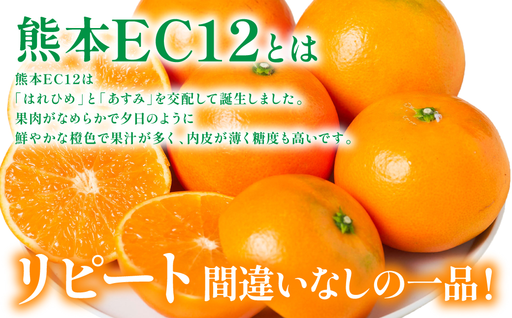 【先行予約】 八代市東陽町産の 「熊本EC12みかん」 約3kg みかん 柑橘 フルーツ 果物 果実 ミカン 蜜柑 熊本県 八代市 【2026年12月上旬より順次発送】