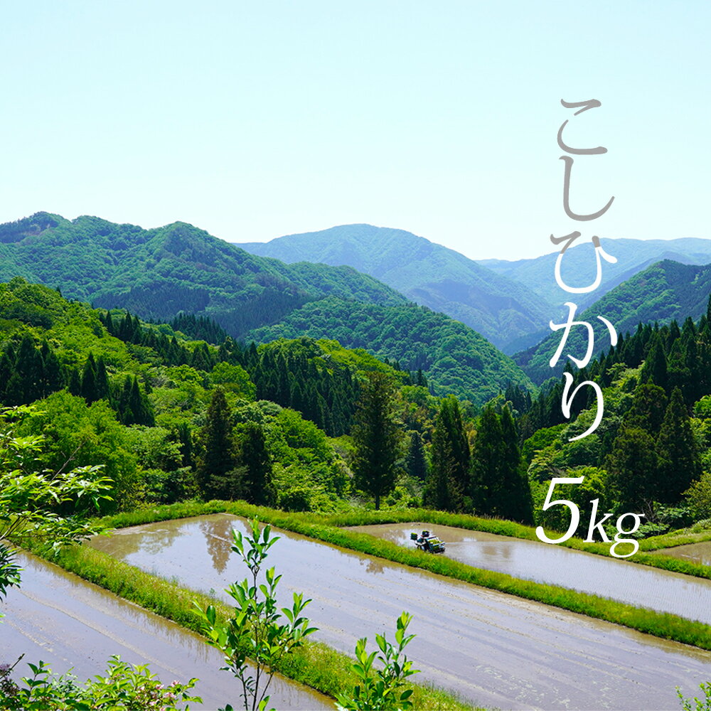 【ふるさと納税】【白米・玄米・無洗米対応可】【5kg・10kg・20kg】新米 令和7年産 日南町 高級米 七金星 (ななきんぼし) コシヒカリ 真空パック 米 お米 おこめ 鳥取県日南町 こしひかり