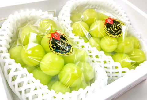 B-542 【先行予約】 シャインマスカット 2房【ぶどう シャインマスカット 種なし 先行予約 しゃいんますかっと 2房 たねなし 皮ごと 大粒 期間限定 季節限定】