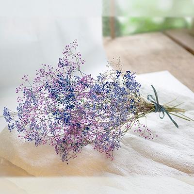 ふるさと納税 藍住町 ドライフラワー　かすみ草のスワッグ